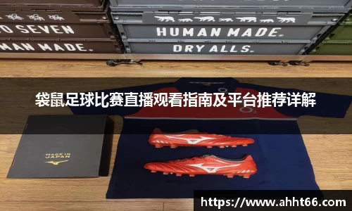 袋鼠足球比赛直播观看指南及平台推荐详解