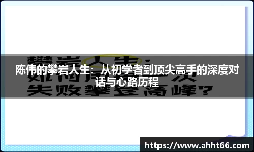陈伟的攀岩人生：从初学者到顶尖高手的深度对话与心路历程